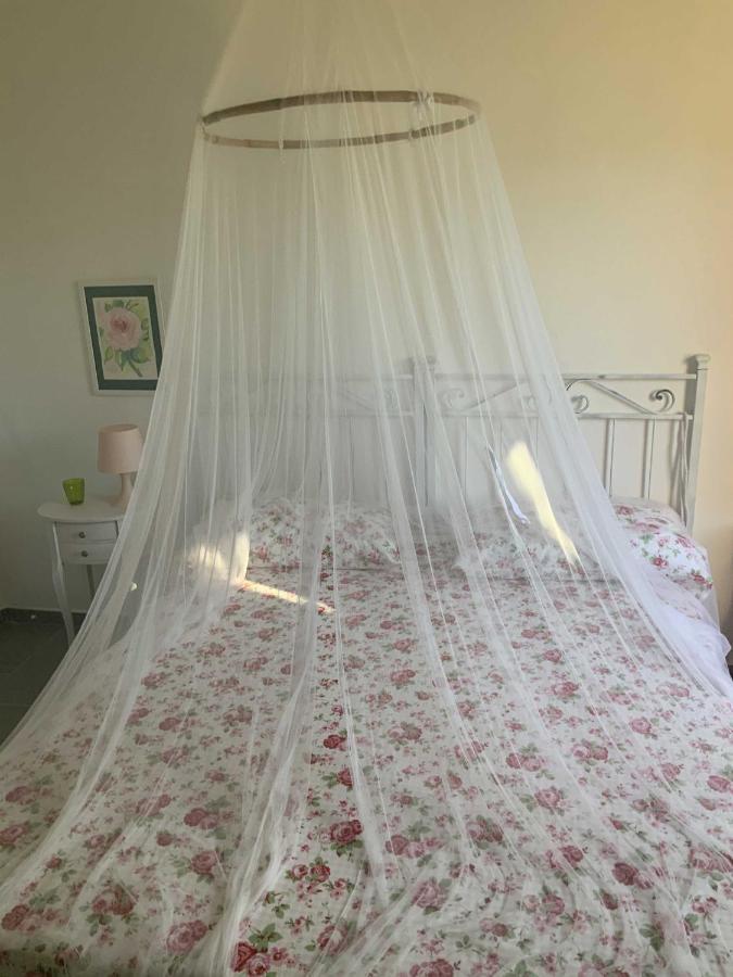 Beahouse: Casa Con Vista A Sassetta Lejlighed Eksteriør billede
